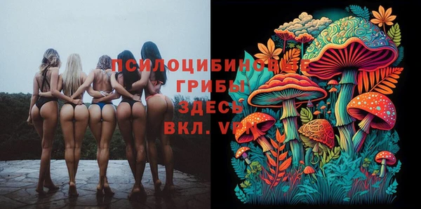стафф Покровск